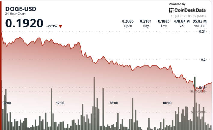 Dogecoin Plunges 10% Before Quick Recovery Rally on Institutional Volume Spike