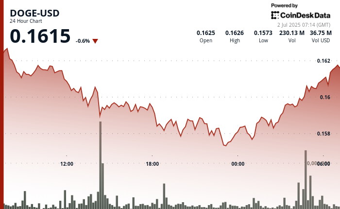 Dogecoin Rebounds After Forming ‘Double Bottom’