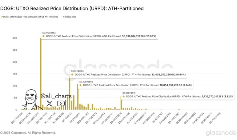 Dogecoin Resistance Walls Ahead: Analyst Flags 3 Key Levels