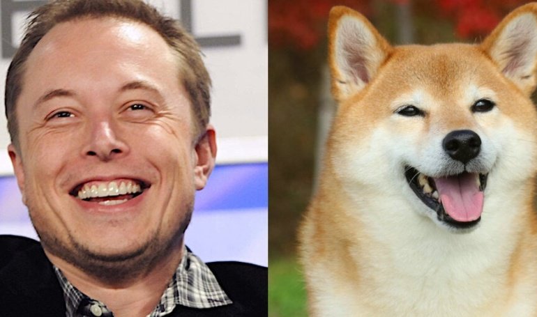 Elon Musk and Dogecoin: How the Billionaire Became the ‘Dogefather’