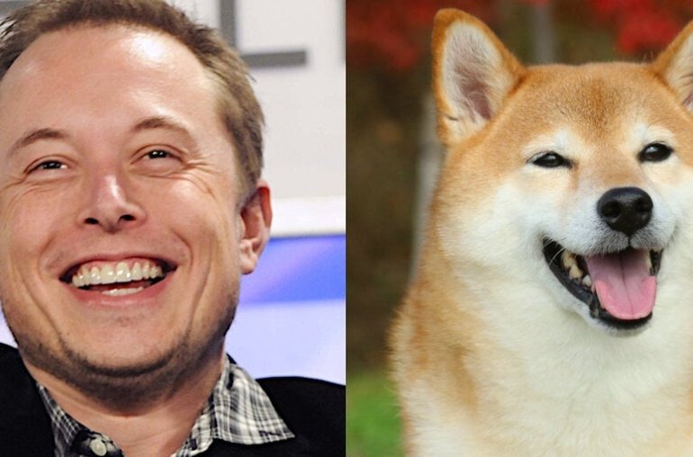 Elon Musk and Dogecoin: How the Billionaire Became the ‘Dogefather’
