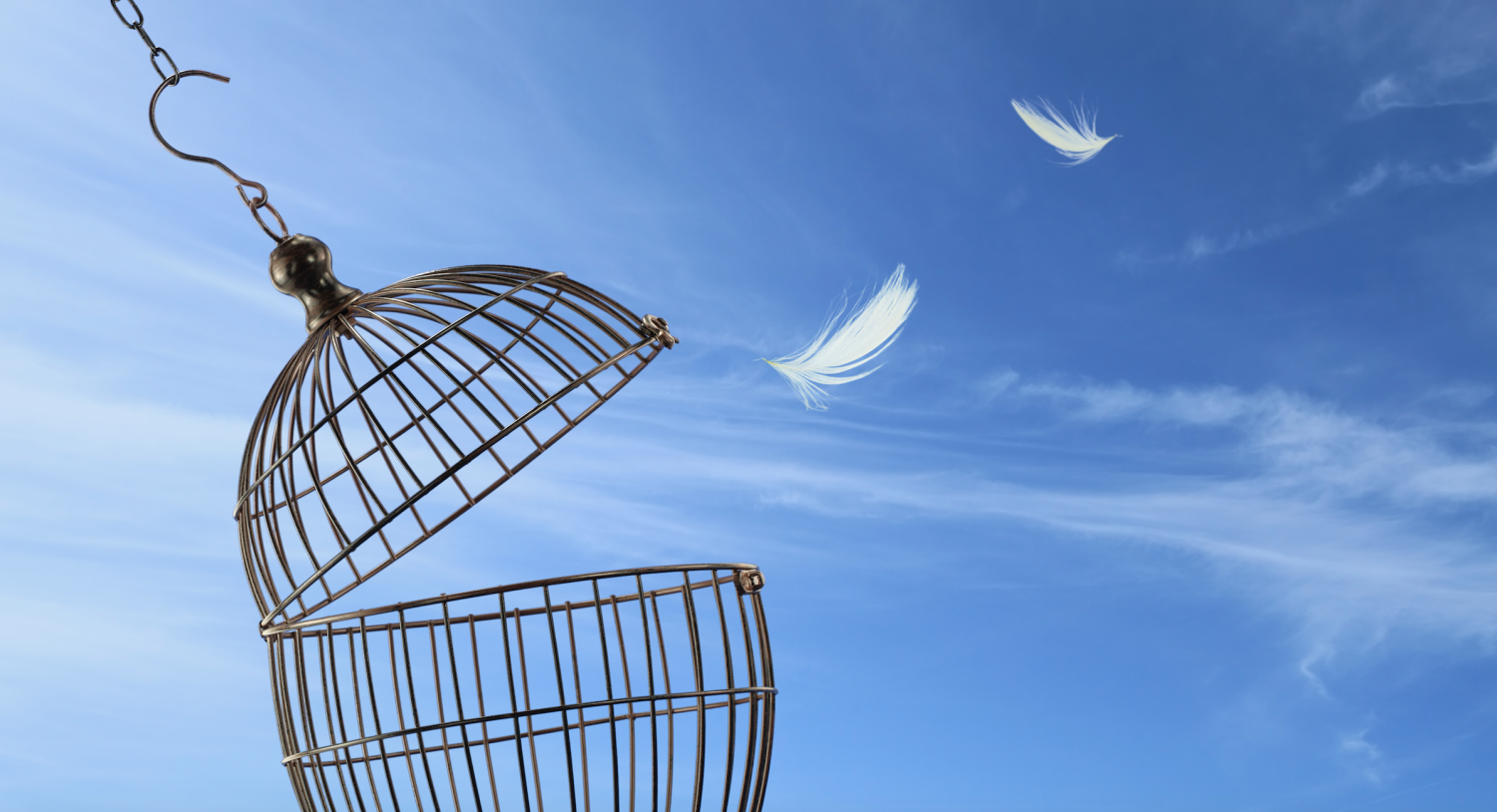 Ether, Dogecoin Lead Crypto Gains as Firms Signal ‘Prime’ Breakout