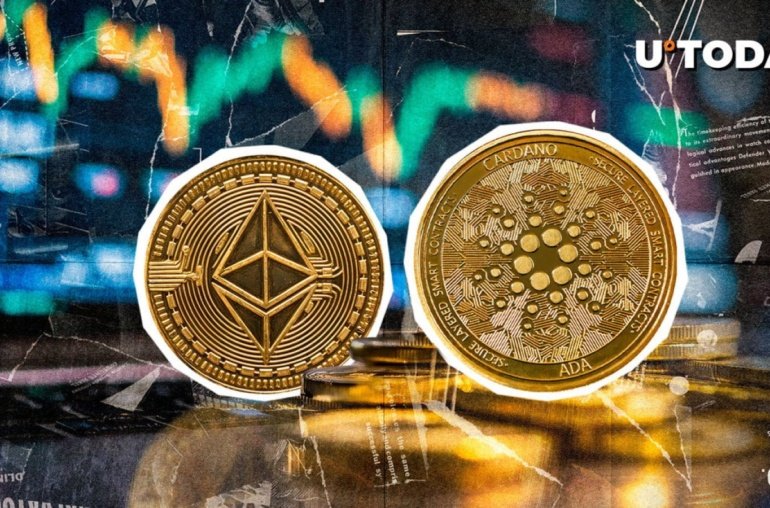 Ethereum and Cardano Lead Development Activity as Crypto Market Rebounds