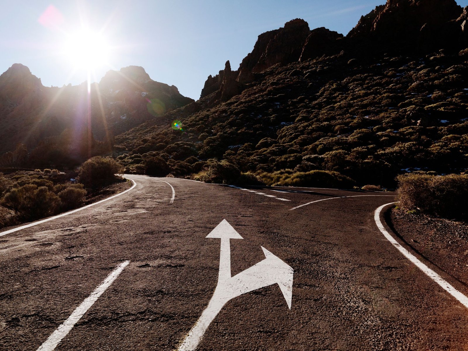 Institutions Focus on BTC, ETH, While Memecoin Fragmention Hits DOGE, SHIB