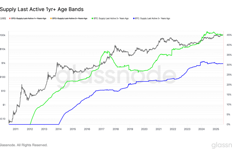 Long-Term BTC Holders Signal Patience in Market