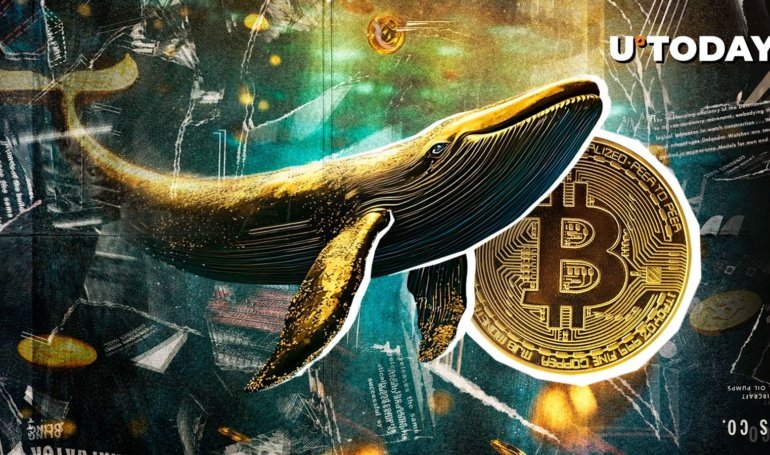 Mega Bitcoin Whale Accumulation Recorded
