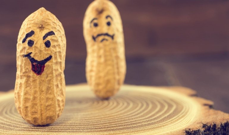 Memecoin PNUT Rips on Elon Musk’s Epstein Cue