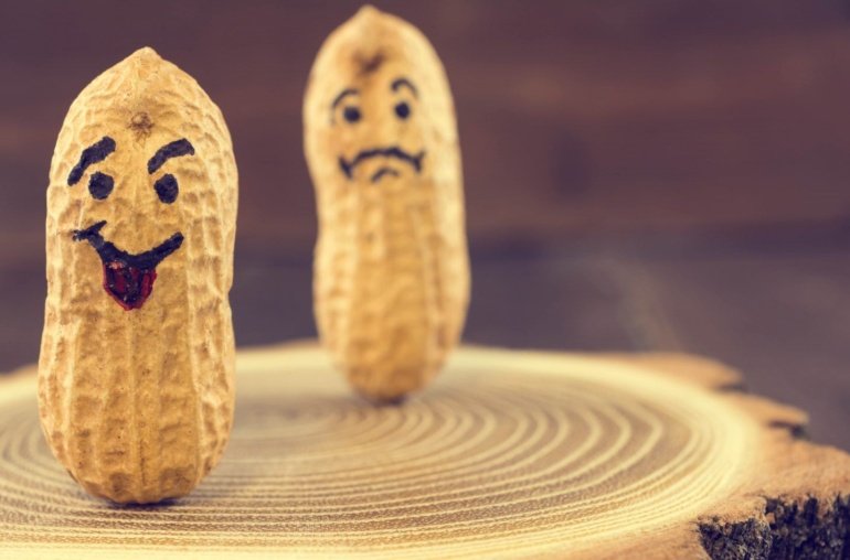 Memecoin PNUT Rips on Elon Musk’s Epstein Cue