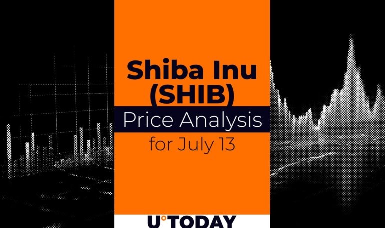 SHIB Price Analysis for July 13
