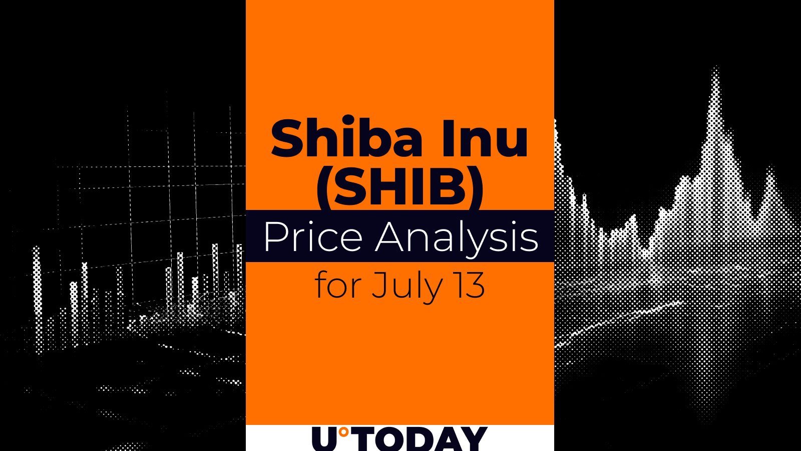SHIB Price Analysis for July 13