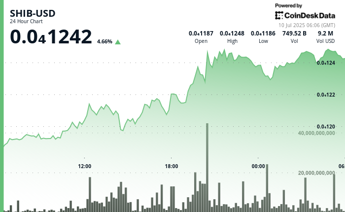 Shiba Inu Eyes Bull Run Against Bitcoin (BTC), But Looks Weak Against Dogecoin (DOGE)