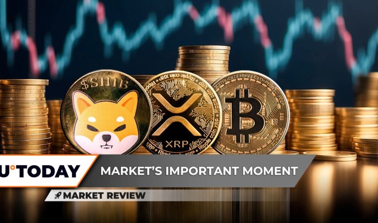 Shiba Inu (SHIB) Needs This Now, This Bitcoin (BTC) Signal Not Great, XRP: First Time in History?