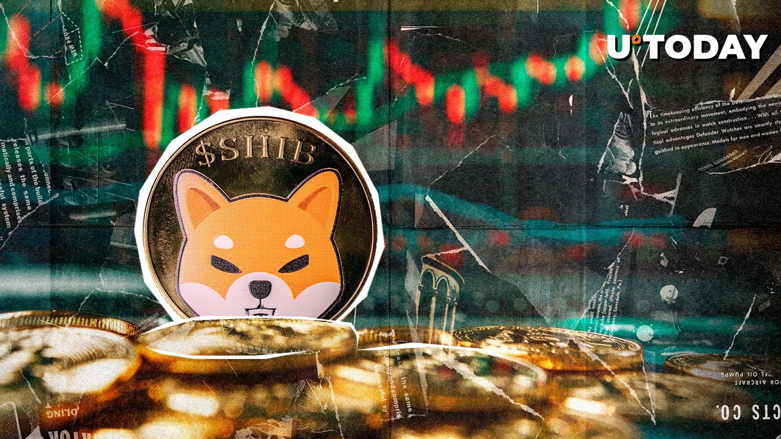 Shiba Inu Skyrockets 50% in Volume, Where’s Price Heading?