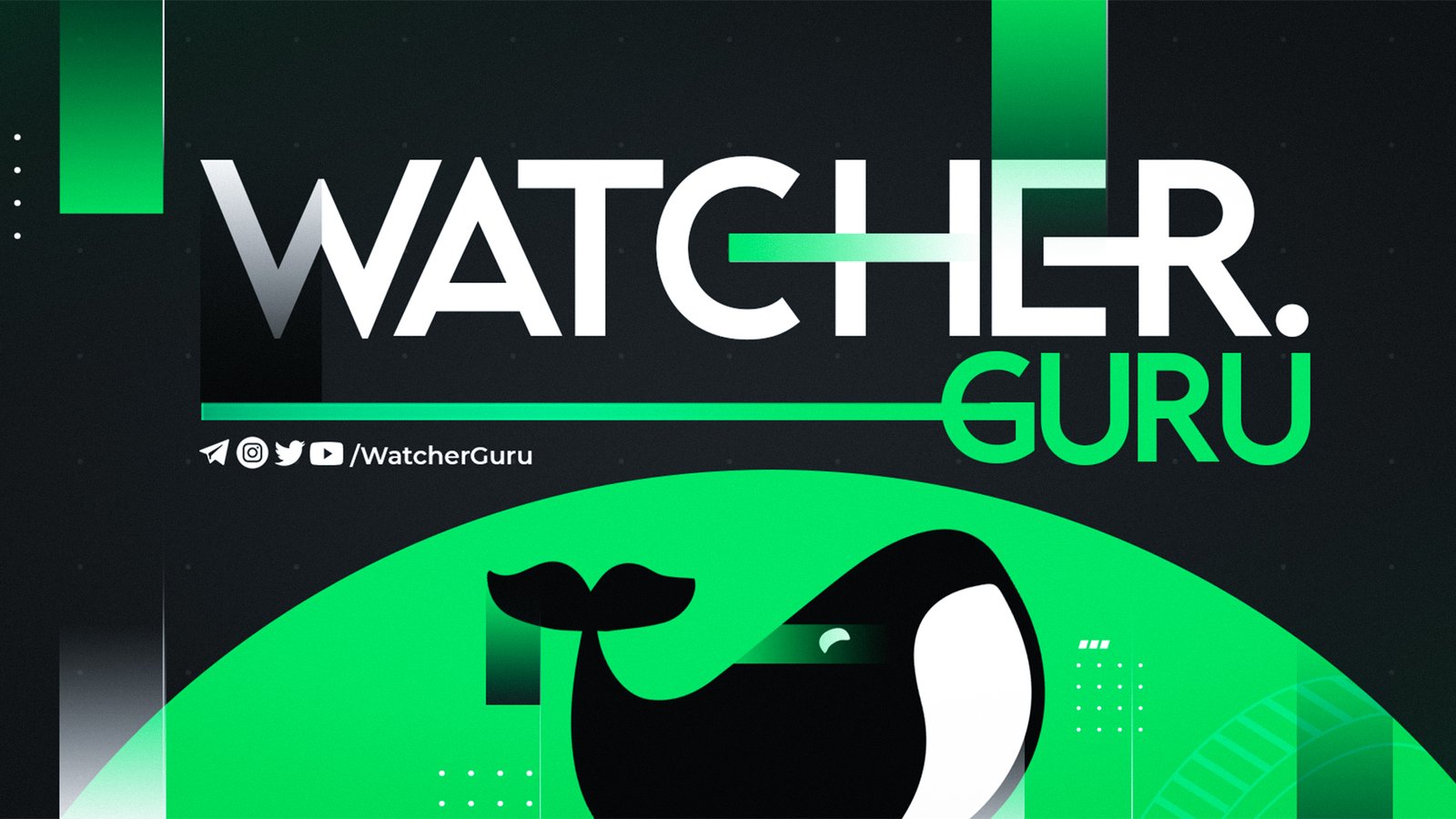 US Government to Release Crypto Report on July 30th.