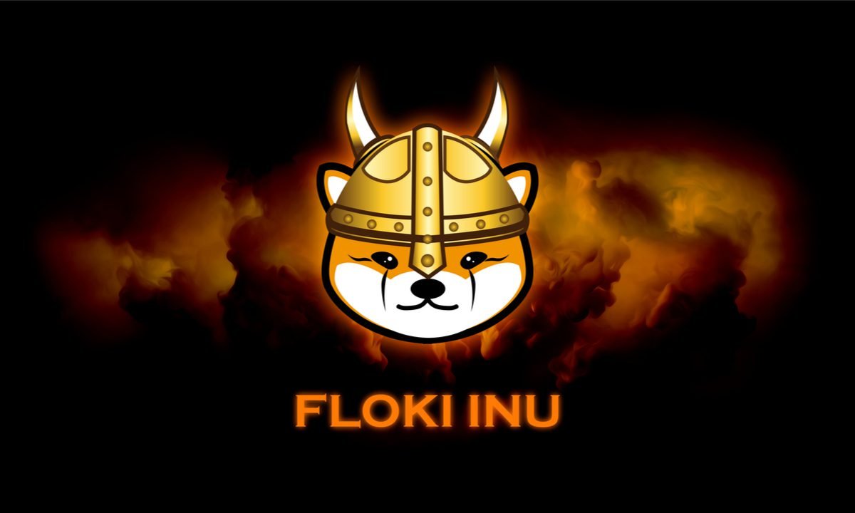 Why Is Floki Inu (FLOKI) Up Today?