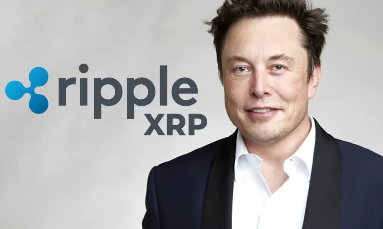 XRP to Hit ? Elon Musk’s AI Makes Bold Price Prediction