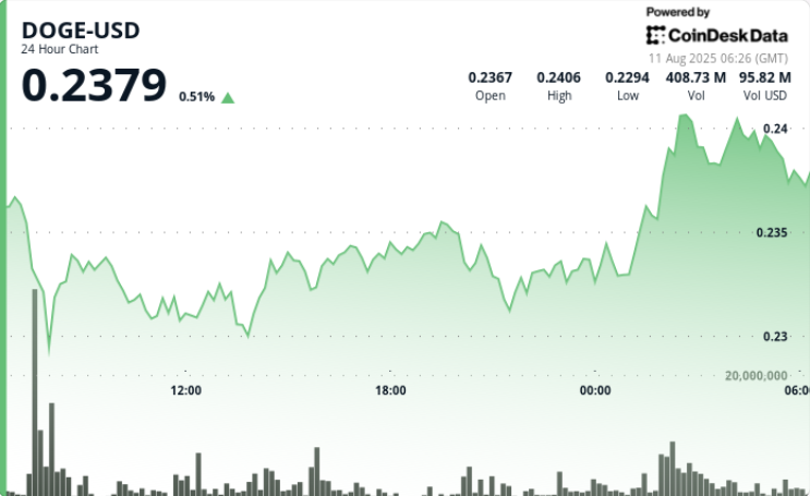0M Whale Purchases Propel DOGE 3% Higher in Breakout Session