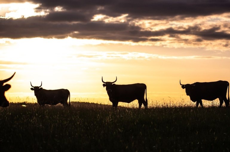 Altcoin Season May Be Brewing, But Will Be More Selective, Analysts Say