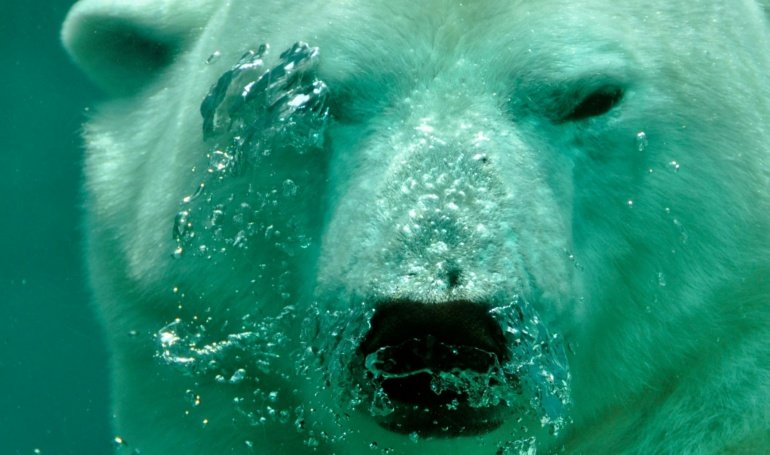 Analyst Says XRP Price Is Yet To Hit Its First Bearish Target, It’s Much Lower