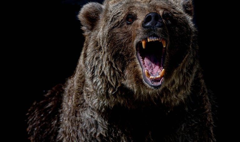 BTC, ETH, DOGE Price News: Declines Pick Up Speed