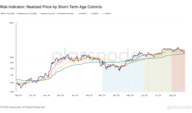 BTC Faces Mounting Pressure Below Key Cost Bases