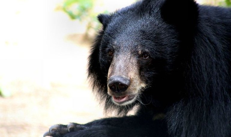 BTC Price Falters in Choppy Market, ETH Price Stays Resilient: Crypto Daybook Americas