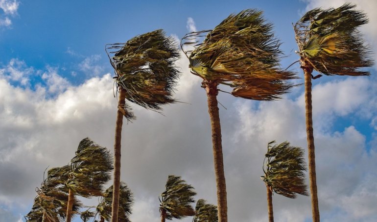 BTC Price Hits Record 4K as 4 Tailwinds Align: Crypto Daybook Americas