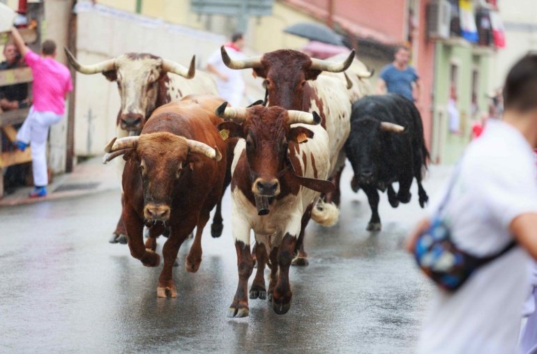 BTC Price Tops 6K as Bullish Signals Spur Confidence: Crypto Daybook Americas