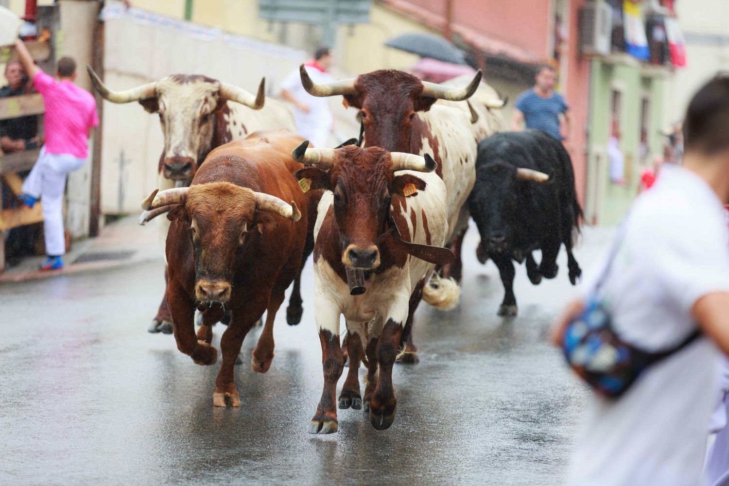 BTC Price Tops 6K as Bullish Signals Spur Confidence: Crypto Daybook Americas