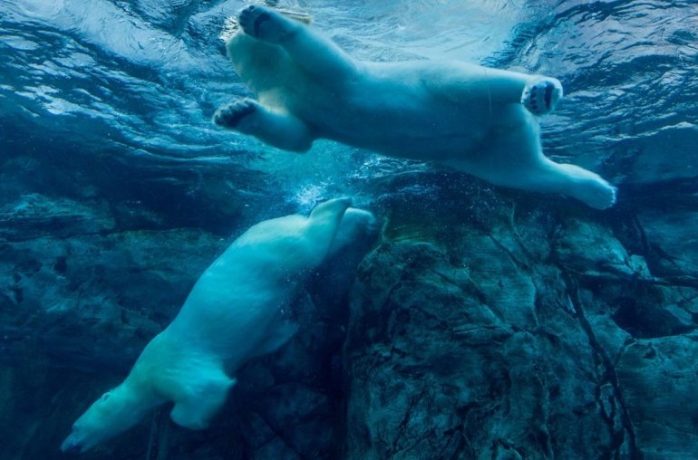 Bitcoin Below 4K, Ether Loses .2K Ahead of Jackson Hole