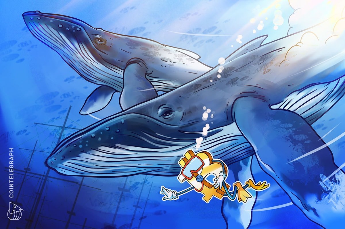Bitcoin Whale Shifts to ETH With 5 Million Long Position