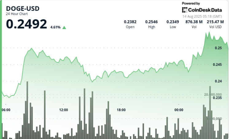 DOGE Jumps 7% on 0M Whale Buys as Futures Bets Top B