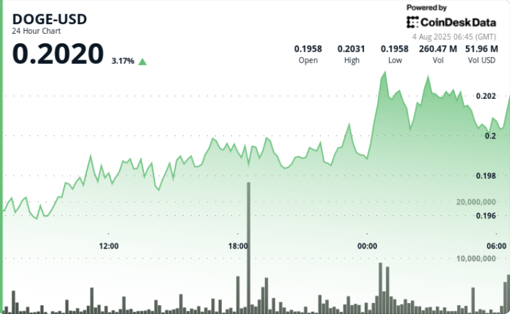 Dogecoin Rally Hits 20-Cents, But Holder Activity is Bullish Sign