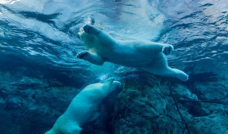 Losses Extend to Nearly 8% for the Week