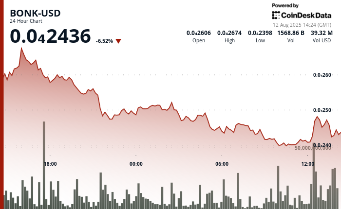 Meme Coin Sees Steep Selloff to Test Key Support