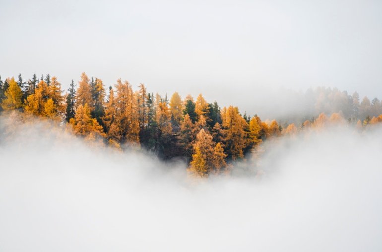 Mysten Labs Taps Ex-Goldman Sachs Digital Assets Head Mustafa Al Niama to Lead Capital Markets Push