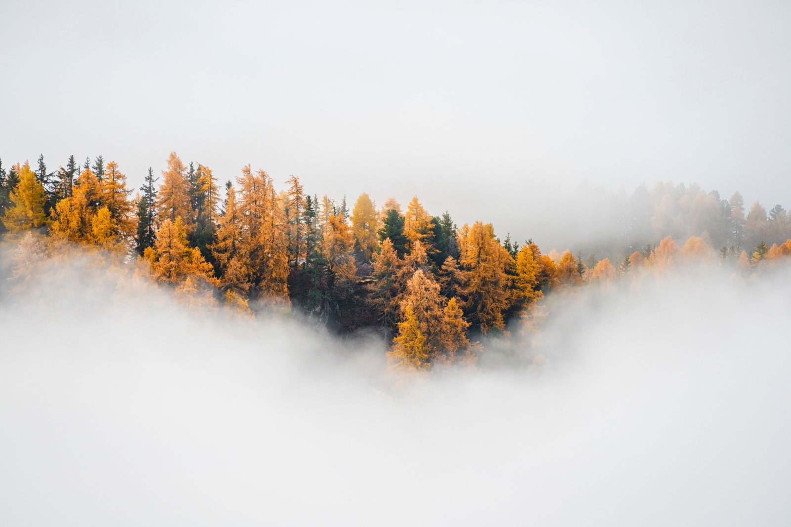 Mysten Labs Taps Ex-Goldman Sachs Digital Assets Head Mustafa Al Niama to Lead Capital Markets Push