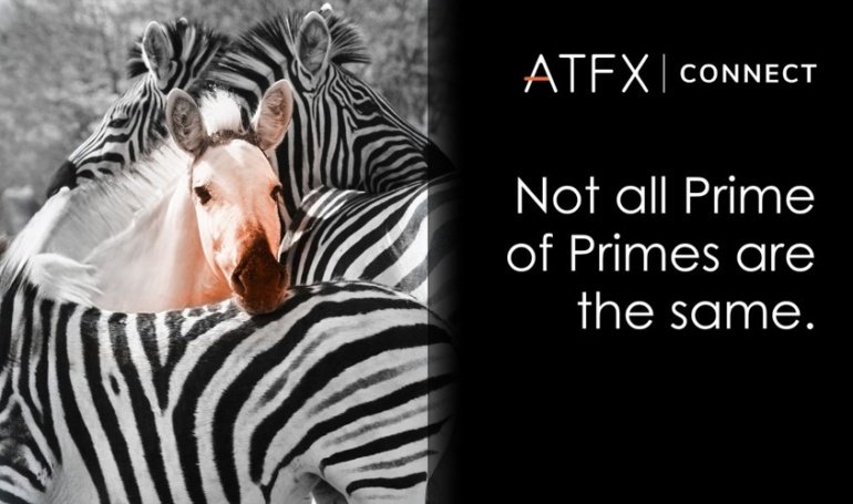 Not All “Prime of Prime” Brokers Are Created Equal.