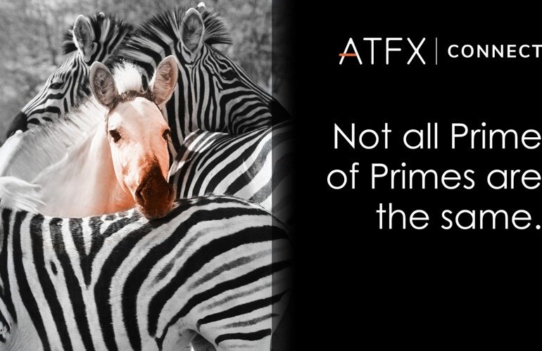 Not All “Prime of Prime” Brokers Are Created Equal.