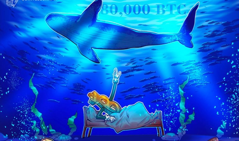 Quantum threat to Bitcoin? 80,000 BTC just moved after 14 years