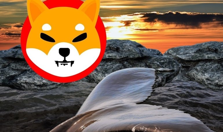 SHIB Whale Moves 3 Trillion Shiba Inu Coins Worth  Million