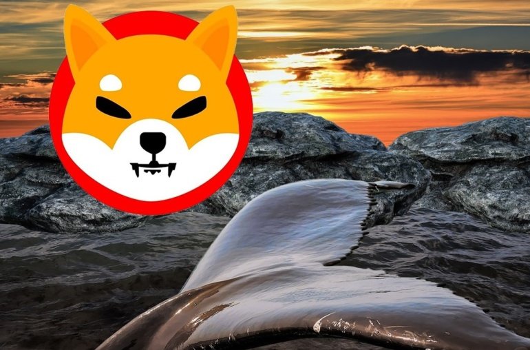 SHIB Whale Moves 3 Trillion Shiba Inu Coins Worth  Million