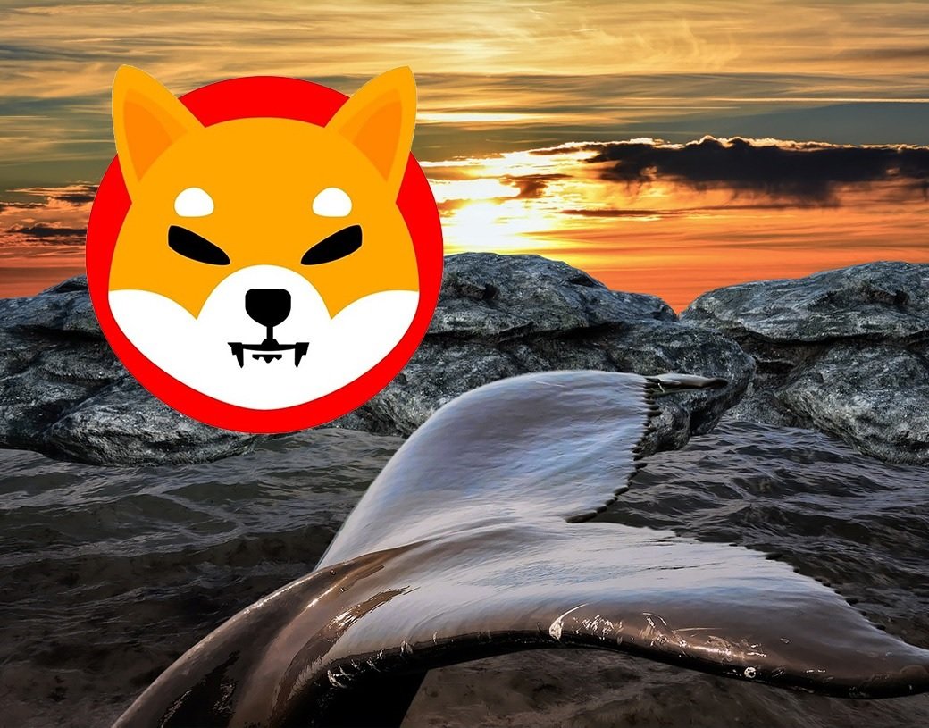 SHIB Whale Moves 3 Trillion Shiba Inu Coins Worth  Million