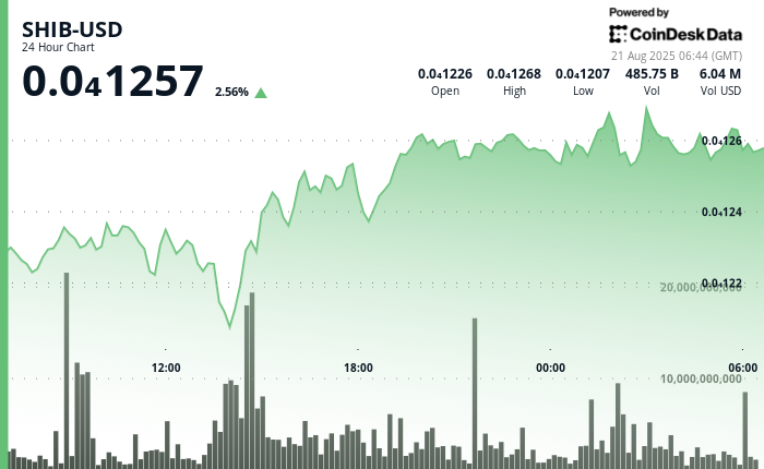 Shiba Inu Bulls Defend Dual Support With 1T Volume