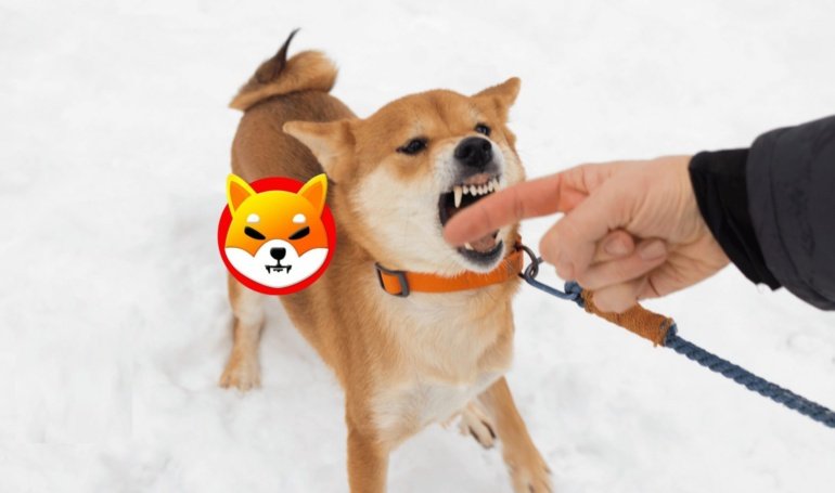 Shiba Inu May Slump Longer Than Expected