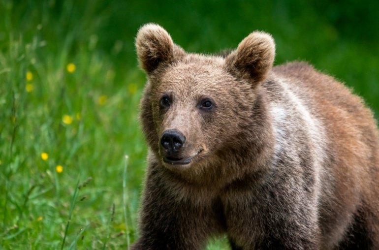 Top Crypto Traders Flip Bearish on BTC, ETH in Major Sentiment Shift