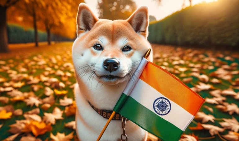 Where Does SHIB Stand in 2025?