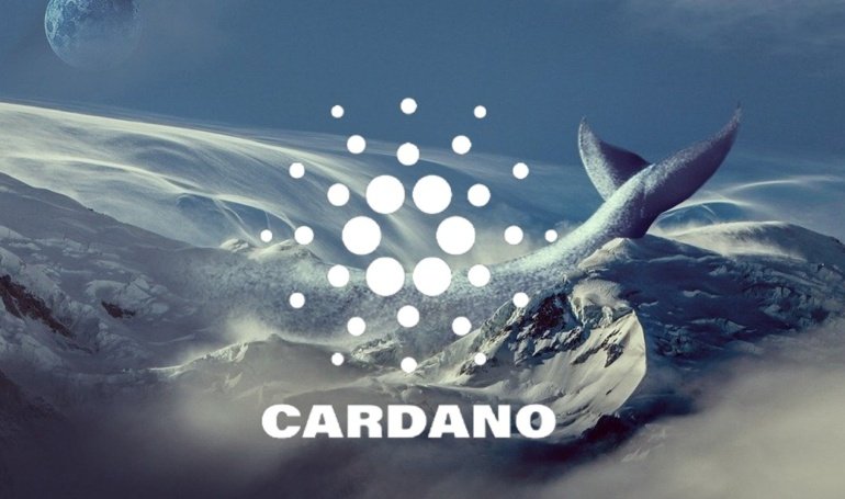 Why Cardano Should Be On Your Buy List