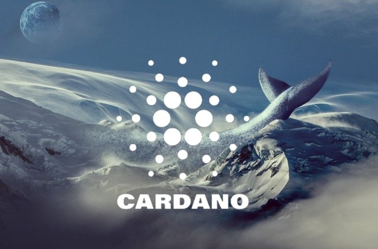 Why Cardano Should Be On Your Buy List