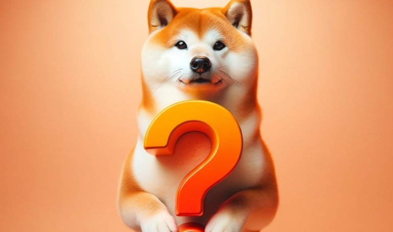 Why Is Shiba Inu Struggling in 2025?